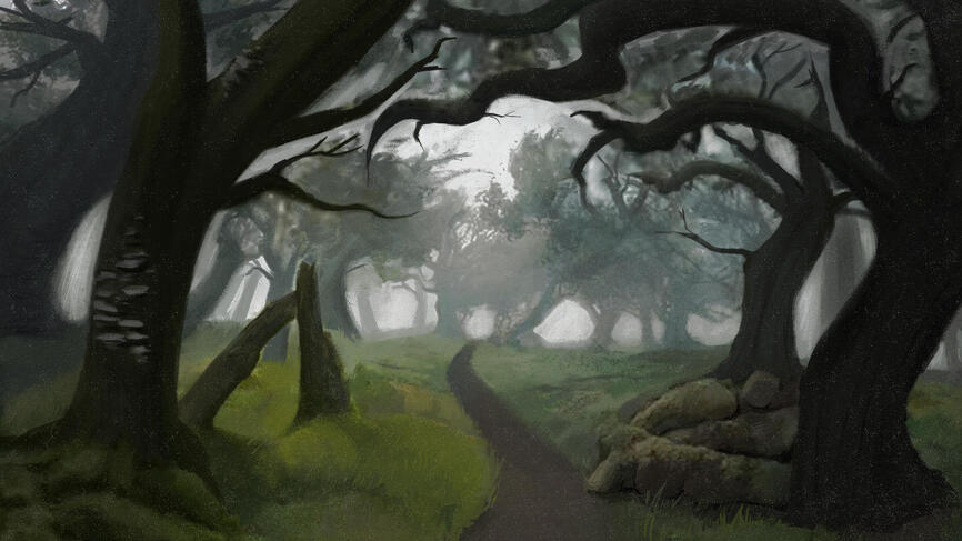 Concept Art of a Misty Forest